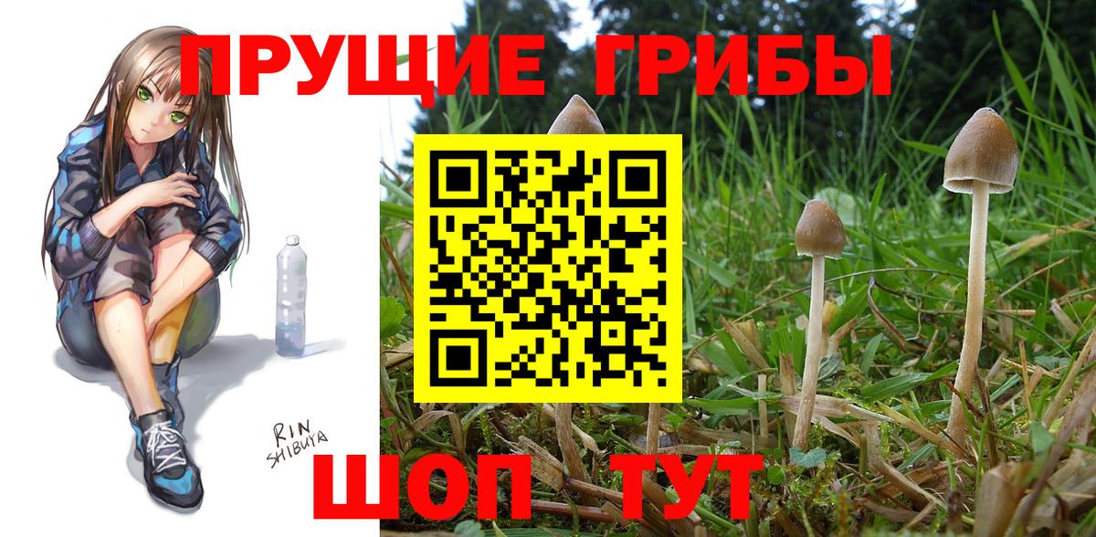 Новотроицк  Псилоцибиновые грибы ЛСД  Галлюциногенные грибы GOLDEN TEACHER  Вход с VPN 